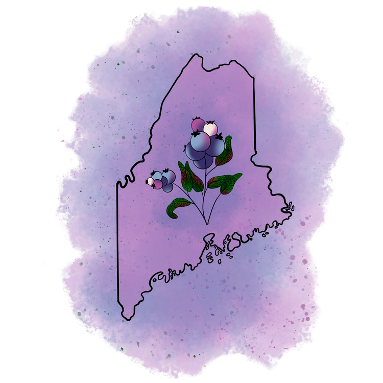 On a pink and blue watercolor background the state of Maine, outlined in black frames a sprig of wild blueberries and is the logo for The Thing About Maine Is Collection. Illustrated by Bridget M. Designs.
